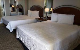 Oceanfront Double Queen 1 Bedroom Suite Caravelle 1137